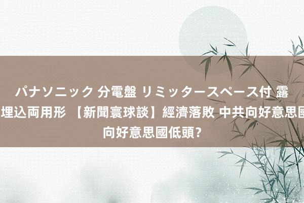 パナソニック 分電盤 リミッタースペース付 露出・半埋込両用形 【新聞寰球談】經濟落敗 中共向好意思國低頭？