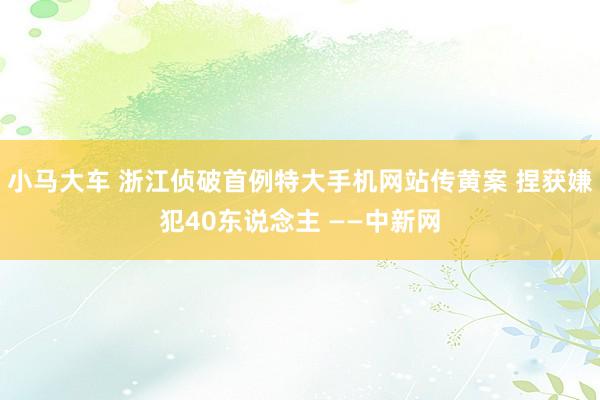 小马大车 浙江侦破首例特大手机网站传黄案 捏获嫌犯40东说念主 ——中新网