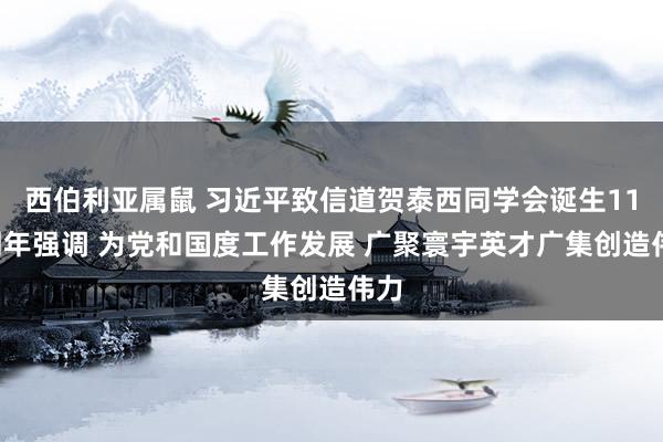 西伯利亚属鼠 习近平致信道贺泰西同学会诞生110周年强调 为党和国度工作发展 广聚寰宇英才广集创造伟力