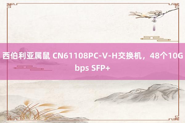 西伯利亚属鼠 CN61108PC-V-H交换机，48个10Gbps SFP+