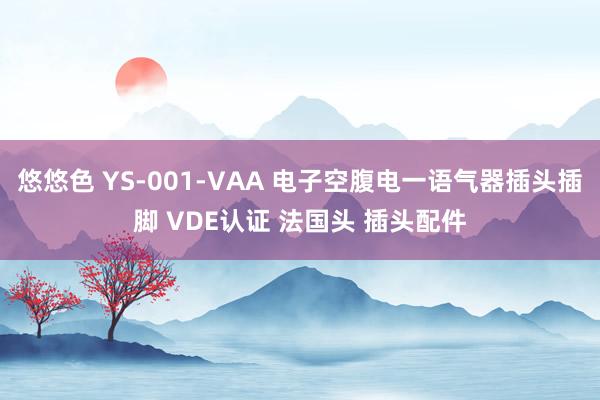 悠悠色 YS-001-VAA 电子空腹电一语气器插头插脚 VDE认证 法国头 插头配件