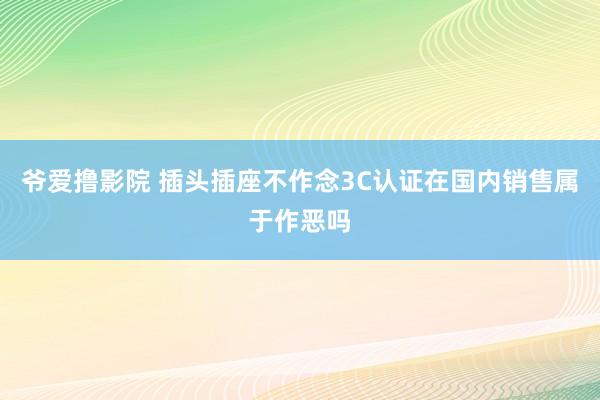 爷爱撸影院 插头插座不作念3C认证在国内销售属于作恶吗