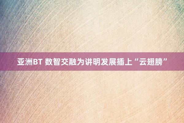 亚洲BT 数智交融为讲明发展插上“云翅膀”