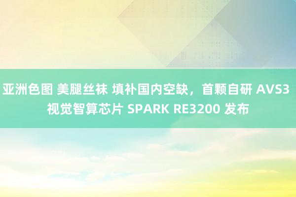 亚洲色图 美腿丝袜 填补国内空缺，首颗自研 AVS3 视觉智算芯片 SPARK RE3200 发布